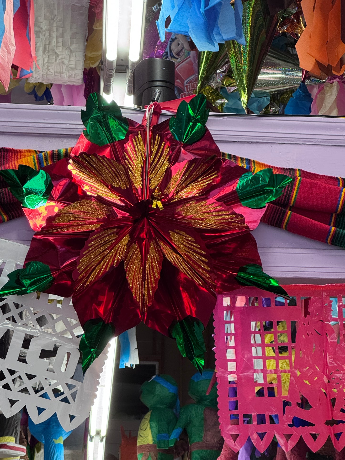 Poinsettia Flower / Nochebuena