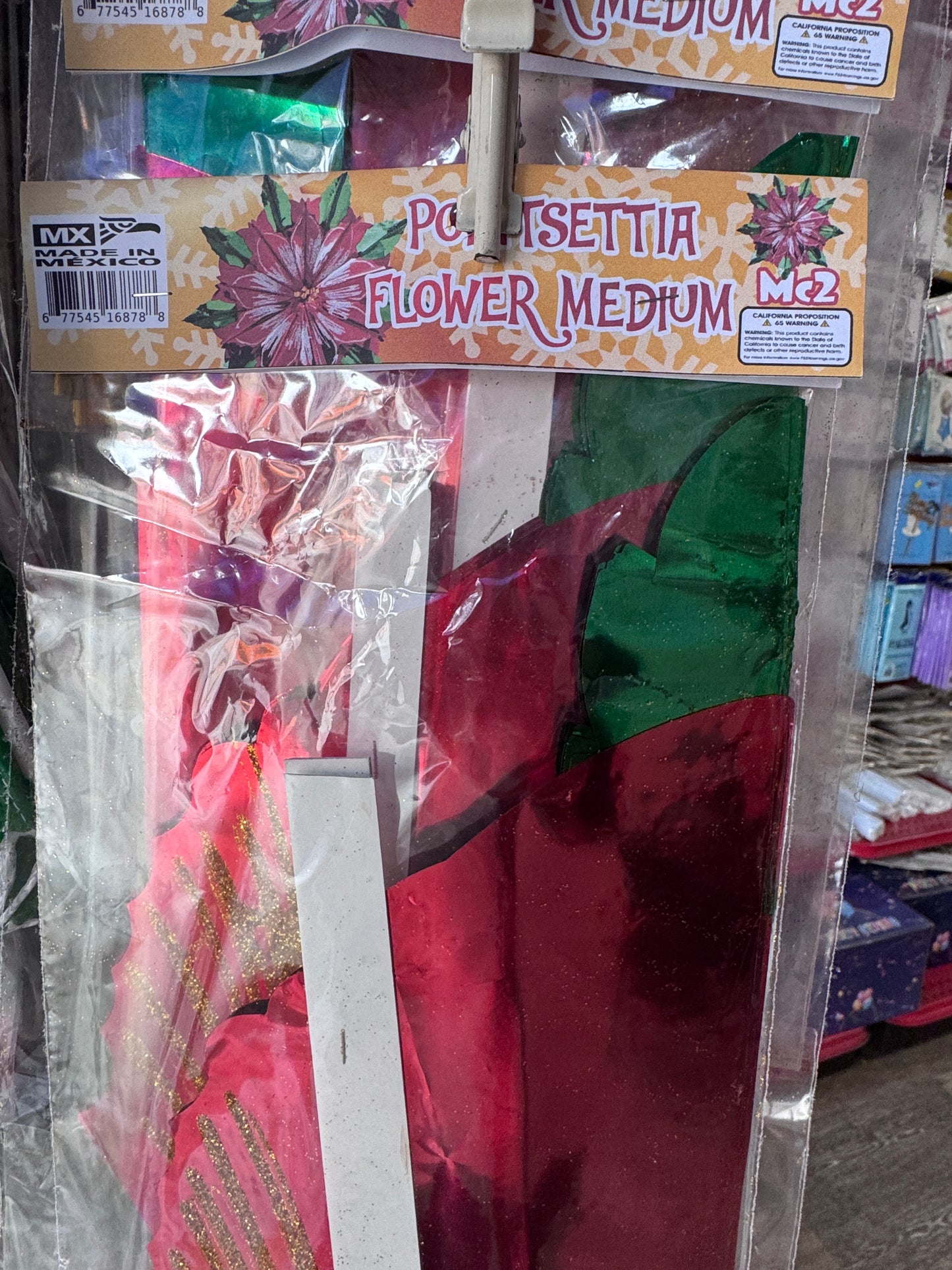 Poinsettia Flower / Nochebuena