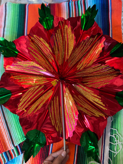 Poinsettia Flower / Nochebuena